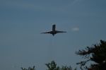 DSC_0782.JPG